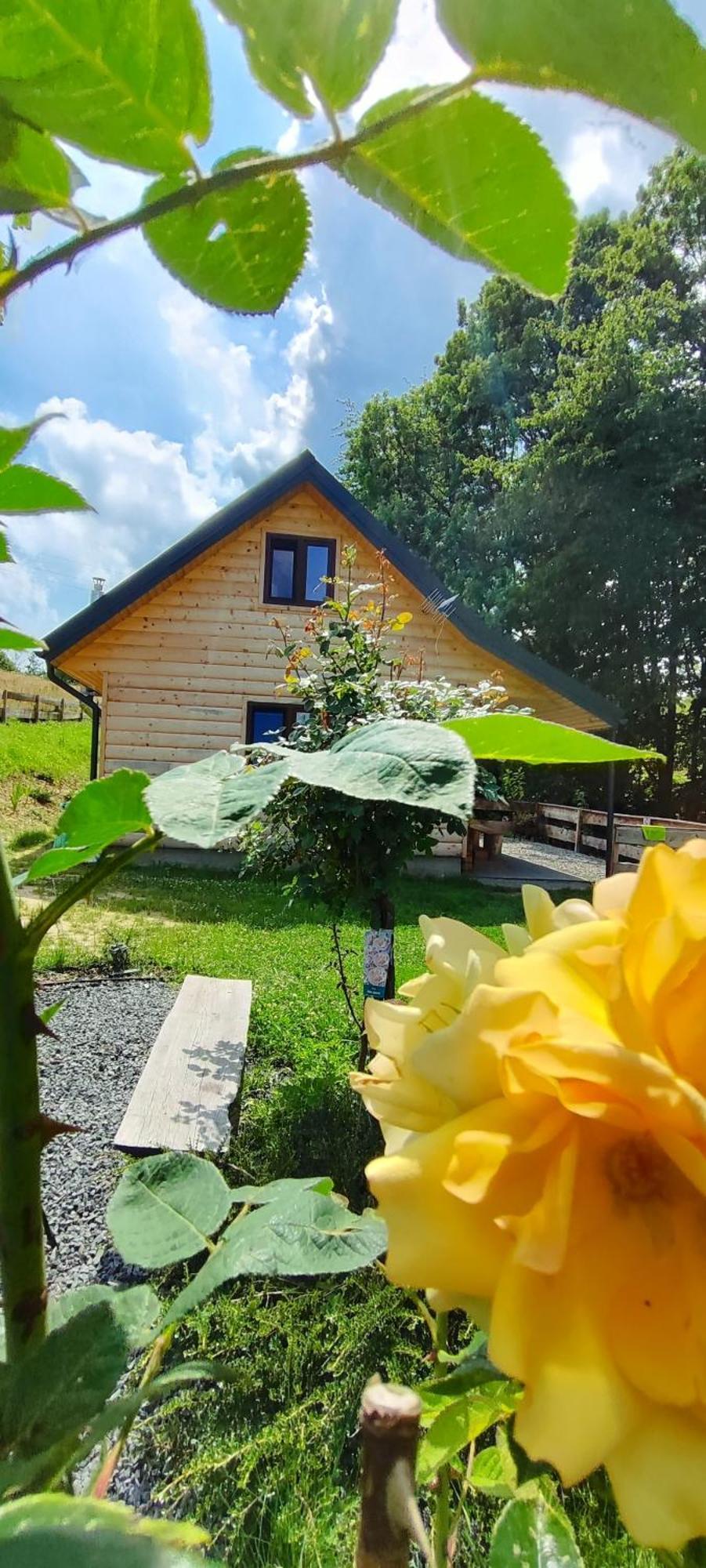 Chata Dudziakowka Werlas Exterior photo